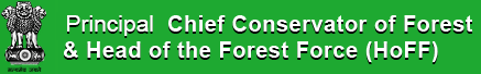 Forest Department, Gujarat