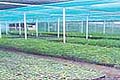 Seed Manures & Green Houses