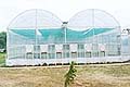 Seed Manures & Green Houses