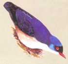 Vansda National Park