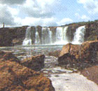 Vansda National Park